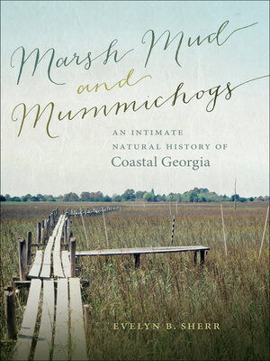 cover image of Marsh Mud and Mummichogs